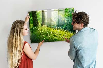 Magnetic notice board for kitchen Spring nature