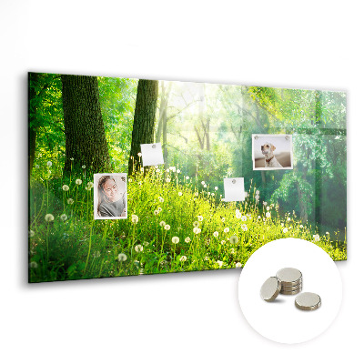 Magnetic notice board for kitchen Spring nature