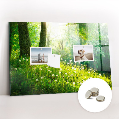 Magnetic notice board for kitchen Spring nature