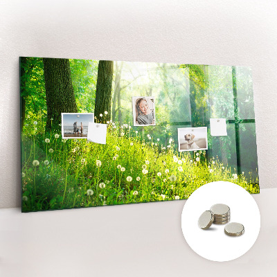 Magnetic notice board for kitchen Spring nature