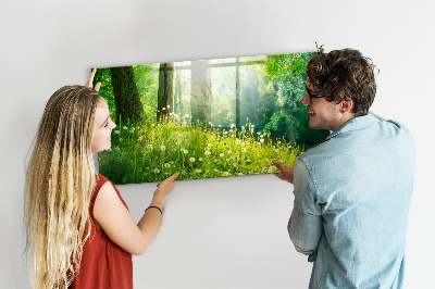 Magnetic notice board for kitchen Spring nature