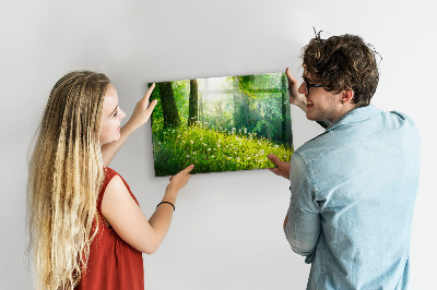 Magnetic notice board for kitchen Spring nature