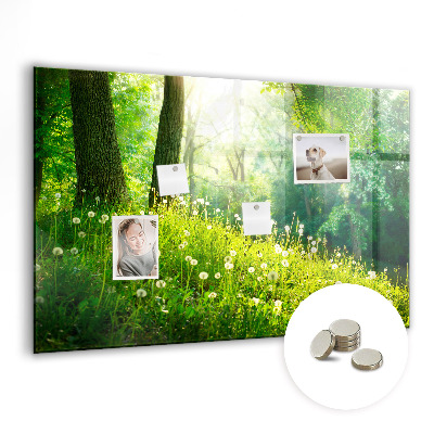 Magnetic notice board for kitchen Spring nature