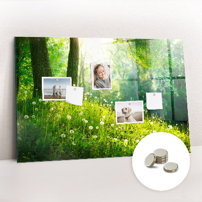 Magnetic notice board for kitchen Spring nature