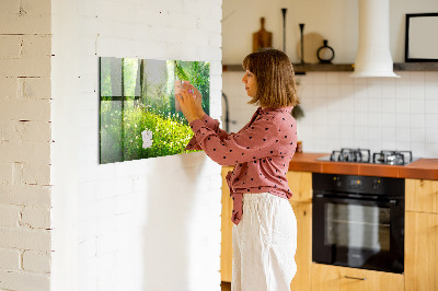 Magnetic notice board for kitchen Spring nature