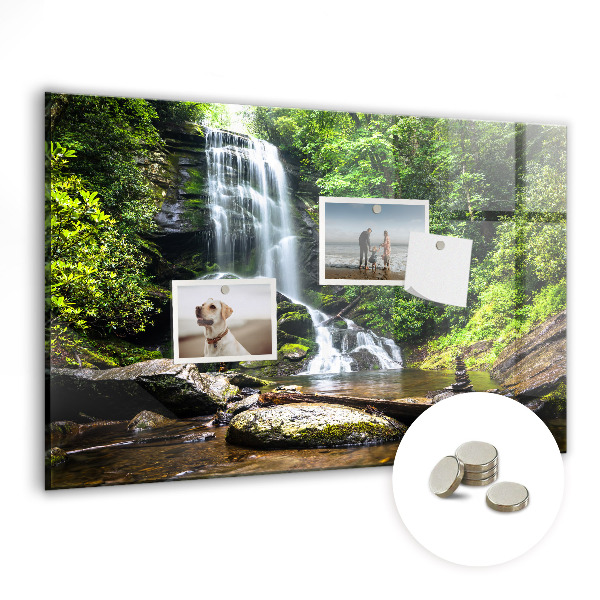 Magnetic notice board for kitchen Forest waterfall