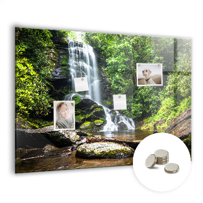 Magnetic notice board for kitchen Forest waterfall