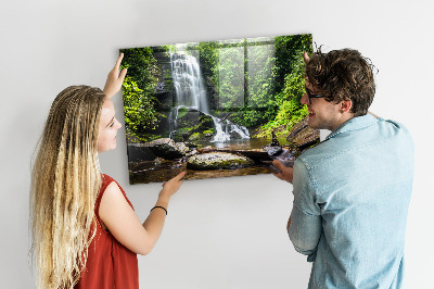 Magnetic notice board for kitchen Forest waterfall