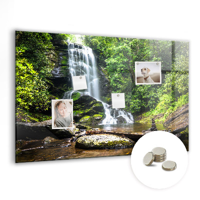 Magnetic notice board for kitchen Forest waterfall