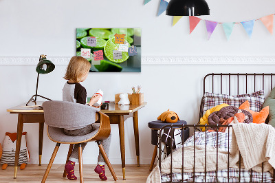 Magnetic kitchen board Lime pieces