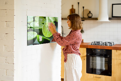 Magnetic kitchen board Lime pieces