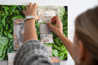 Magnetic kitchen board Green vegetables