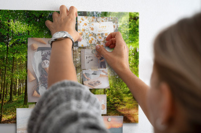 Magnetic notice board for kitchen East forest