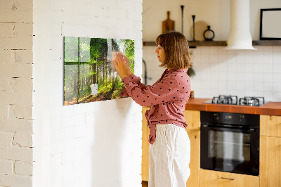 Magnetic notice board for kitchen East forest