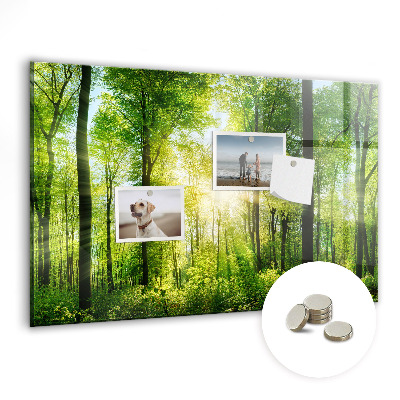 Magnetic notice board for kitchen Forest