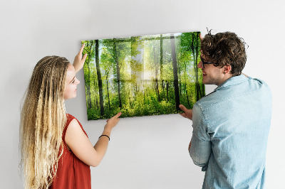 Magnetic notice board for kitchen Forest