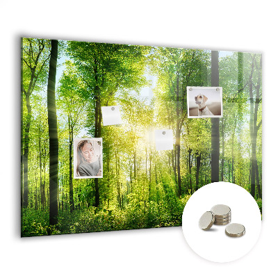 Magnetic notice board for kitchen Forest