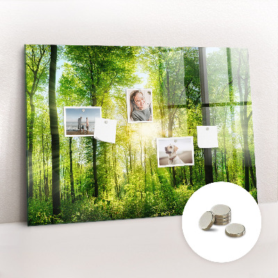 Magnetic notice board for kitchen Forest