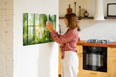 Magnetic notice board for kitchen Forest