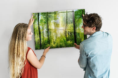 Magnetic notice board for kitchen Forest