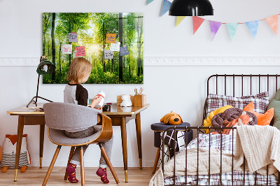 Magnetic notice board for kitchen Forest