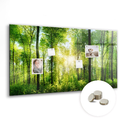 Magnetic notice board for kitchen Forest