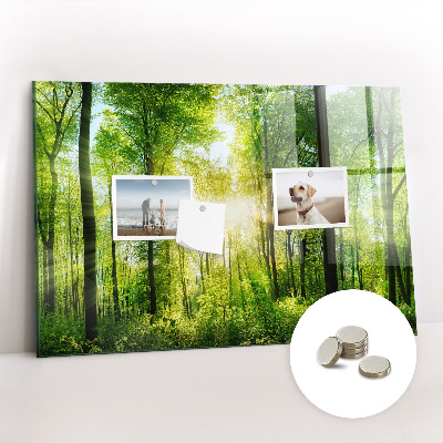 Magnetic notice board for kitchen Forest