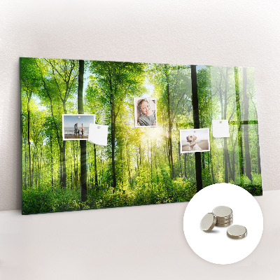 Magnetic notice board for kitchen Forest