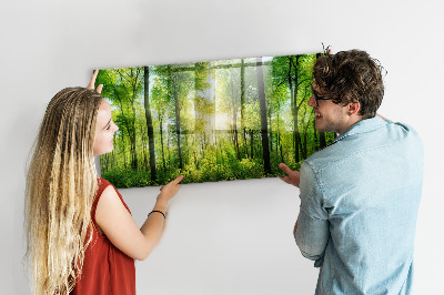 Magnetic notice board for kitchen Forest