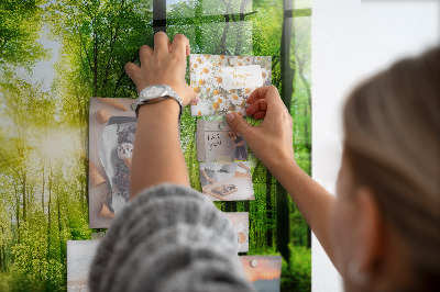 Magnetic notice board for kitchen Forest