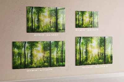 Magnetic notice board for kitchen Forest