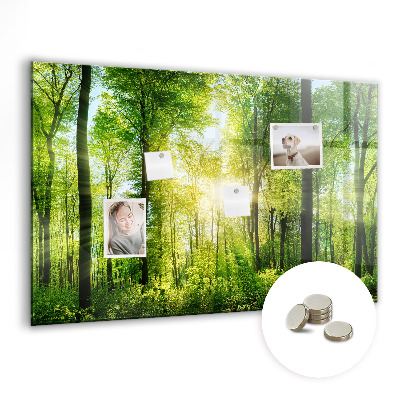 Magnetic notice board for kitchen Forest