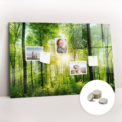 Magnetic notice board for kitchen Forest