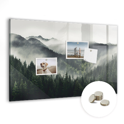 Magnetic notice board for kitchen Forest landscape