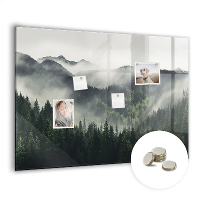 Magnetic notice board for kitchen Forest landscape