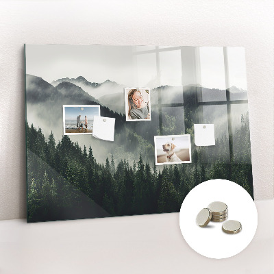 Magnetic notice board for kitchen Forest landscape