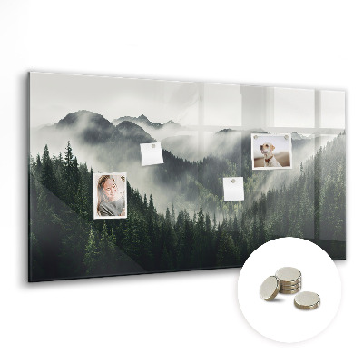 Magnetic notice board for kitchen Forest landscape