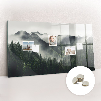 Magnetic notice board for kitchen Forest landscape