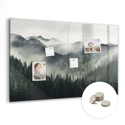 Magnetic notice board for kitchen Forest landscape