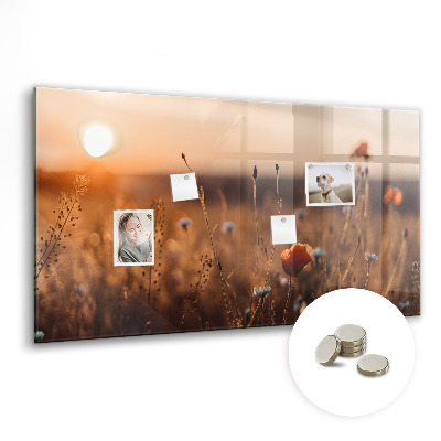Decorative magnetic board Sunrise field