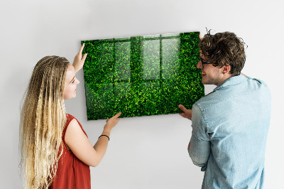 Magnetic notice board for kitchen Leaf hedge