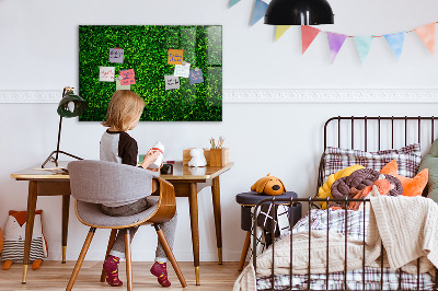 Magnetic notice board for kitchen Leaf hedge