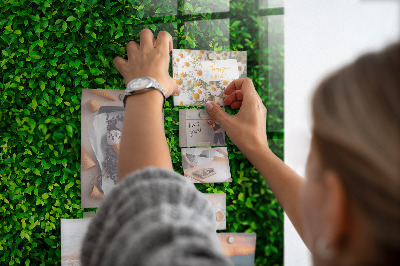 Magnetic notice board for kitchen Leaf hedge