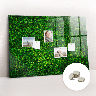 Magnetic notice board for kitchen Leaf hedge