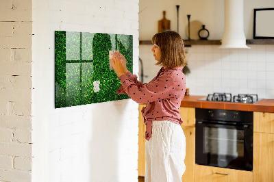 Magnetic notice board for kitchen Leaf hedge