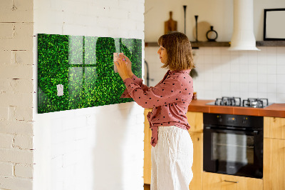 Magnetic notice board for kitchen Leaf hedge