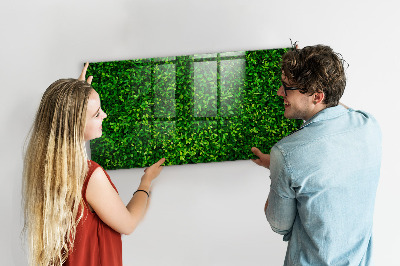 Magnetic notice board for kitchen Leaf hedge