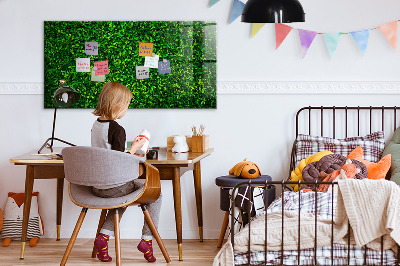 Magnetic notice board for kitchen Leaf hedge