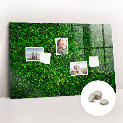 Magnetic notice board for kitchen Leaf hedge