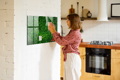 Magnetic notice board for kitchen Leaf hedge